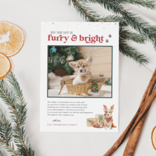 Furry & Bright   Pet Holiday Photo Card