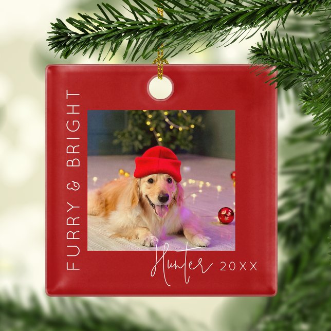 Furry & Bright | Pet Photo Christmas Tree Metal Tree Decoration (Creator Uploaded)