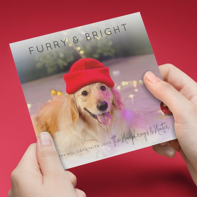 Furry & Bright | Photo Christmas Holiday Card (Creator Uploaded)