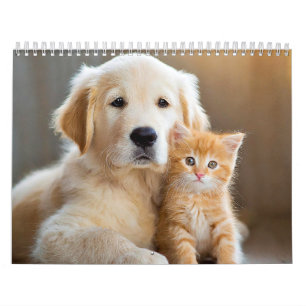Furry buddies calendar
