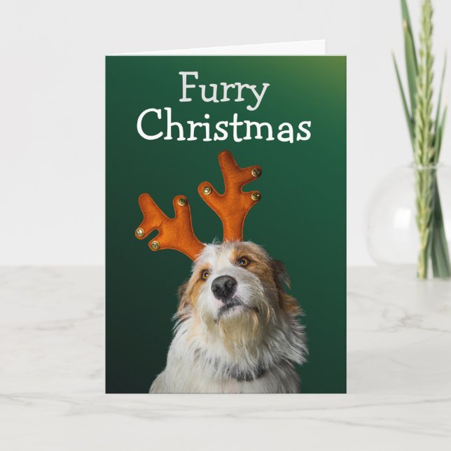 Furry Christmas from the dog card (Front)