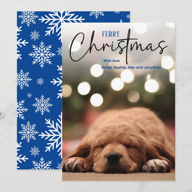 Furry Christmas pet photo blue Holiday Card (Front/Back)