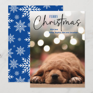 Furry Christmas pet photo blue Holiday Card