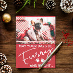 Furry Christmas red with photo and white paws Postcard<br><div class="desc">This Christmas greeting card is perfect for every dog lover! It features the photo of a cute french bulldog puppy with Christmas cap and holiday decorations.
The white text on a red festive background says "may your days be Furry and bright"</div>