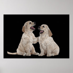 Furry Companions 36 x 24 Poster