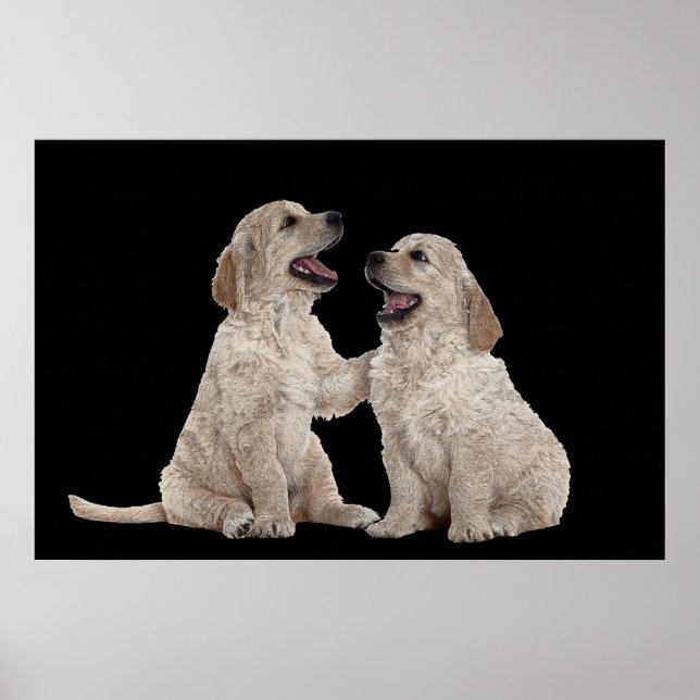 Furry Companions 36 x 24 Poster (Front)
