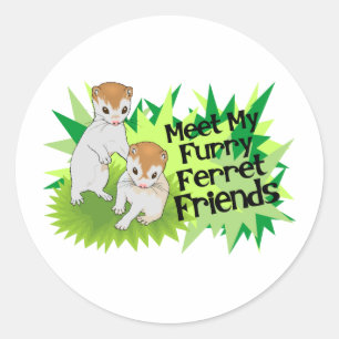 Furry Ferret Friends Classic Round Sticker