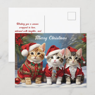 Furry Friends in Festive Hats Cute Cats  Postcard