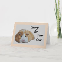 Furry Little Guinea Pig Tan Sorry for Your Loss