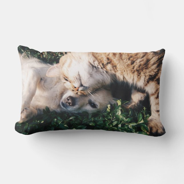 Furry Love Throw Pillow (Front)