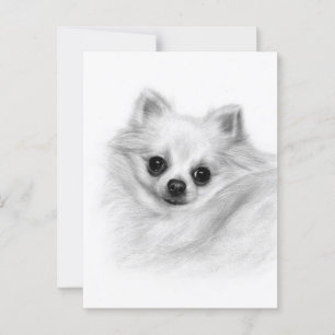 Furry Majesty - Original Hand Painted Chihuahua Postcard