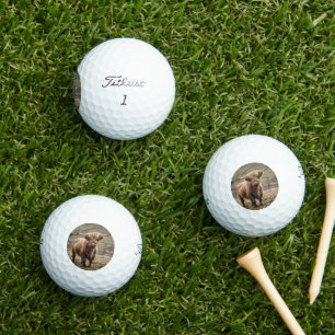 **"Furry Majesty: The Woolly Brown Highland Cow"** Golf Balls