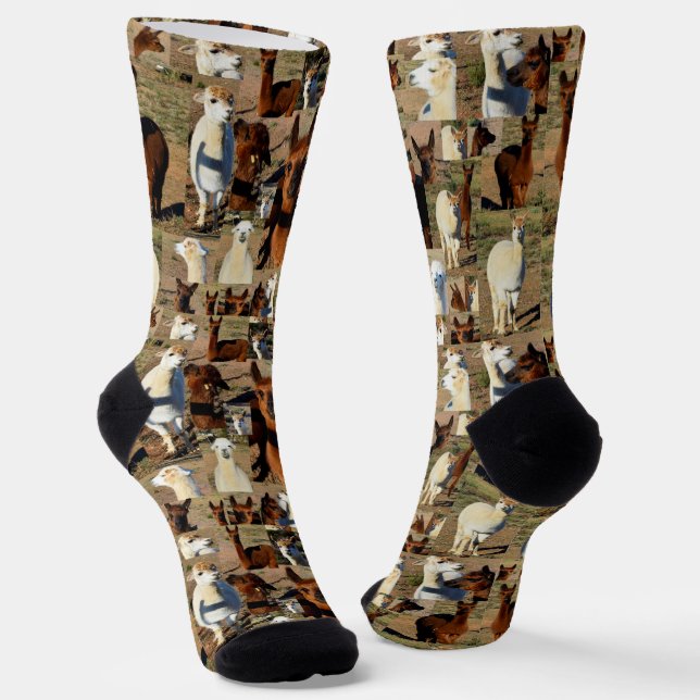 "Furry Moments: An Alpaca Photo Collage" Socks (Angled)