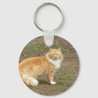 Furry Orange and White Cat Key Ring