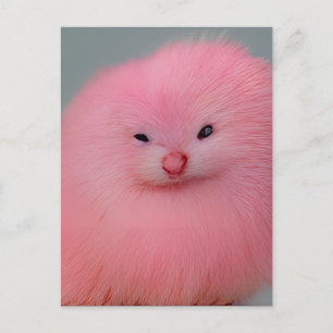 Furry Pink Critter Postcard