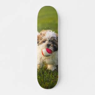 Furry Pup Skateboard with his ball