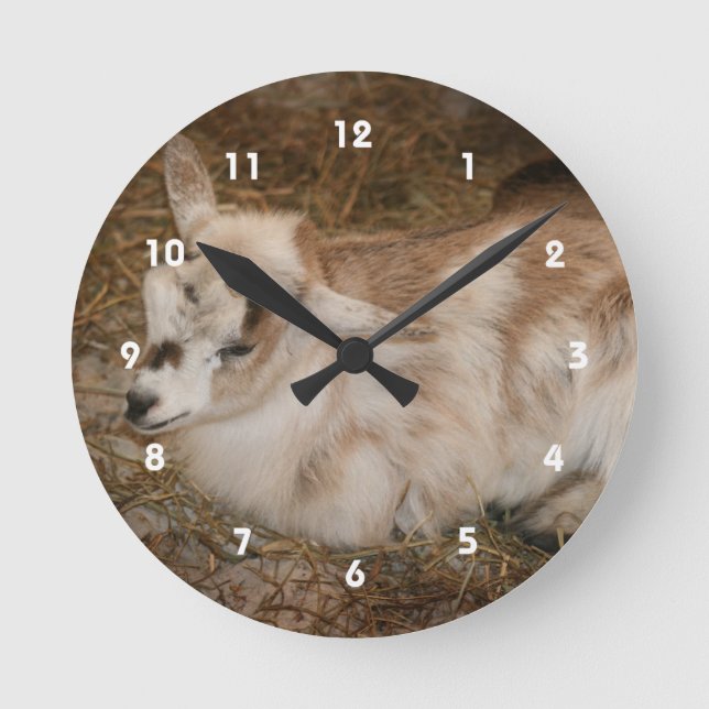 Furry small goat doeling baby round clock (Front)