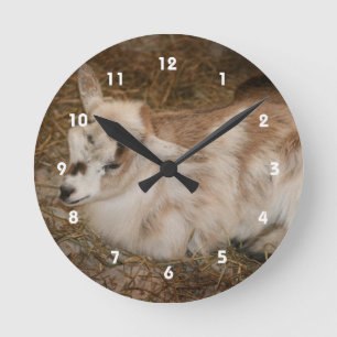 Furry small goat doeling baby round clock