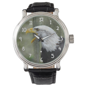 Fury Bald Eagle Watch