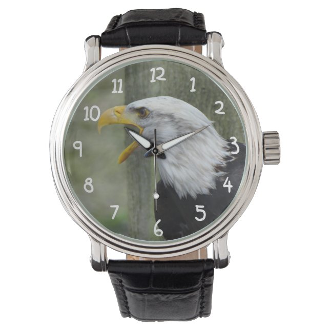 Fury Bald Eagle Watch (Front)