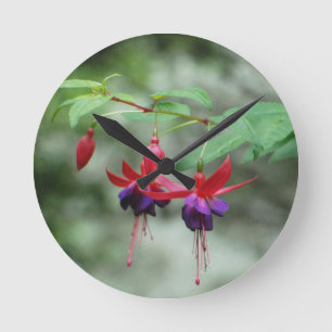 Fuschia1A.jpg Round Clock