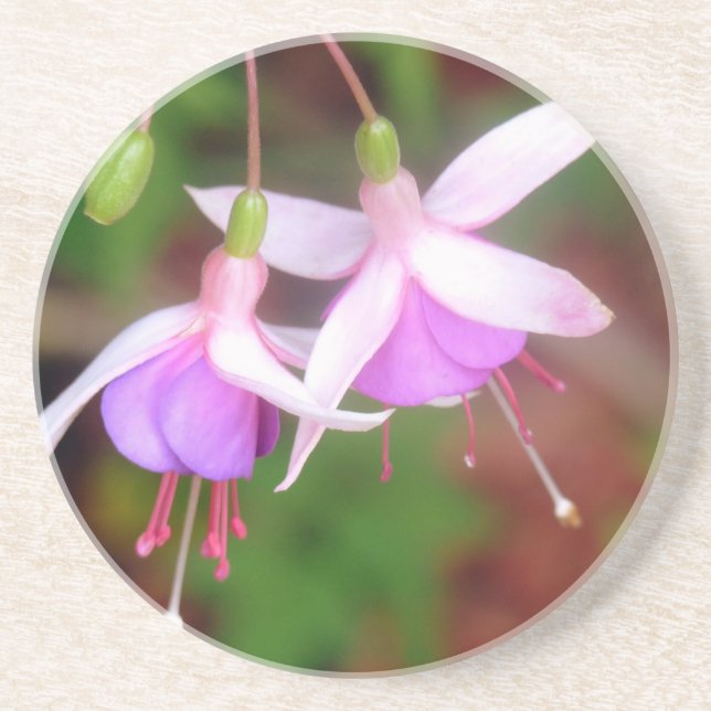 Fuschia Flowers Coaster (Front)