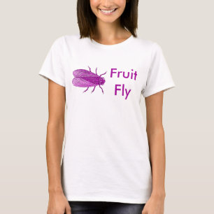 Fuschia Fruit Fly T-Shirt Antique Fly Engraving