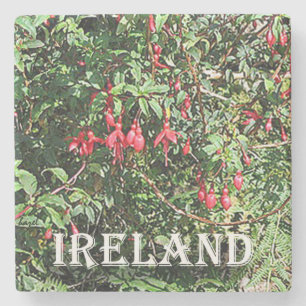 Fuschia, Ireland, Marble Coaster. Stone Coaster