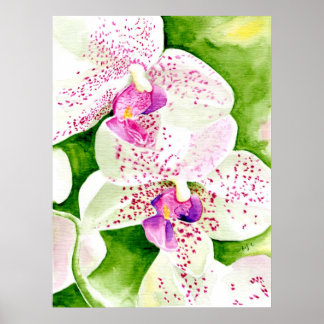 Fuschia Orchid Canvas Print
