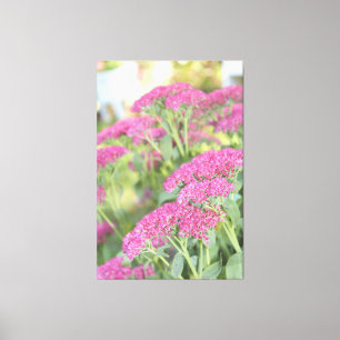 Fuschia Pink Flowered Canvas