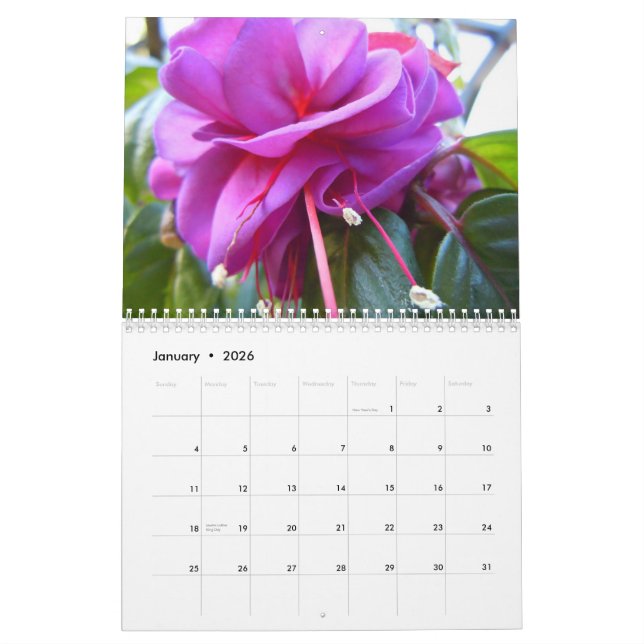 Fuschias Calendar (Jan 2026)