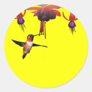 Fushia and Hummingbird Classic Round Sticker