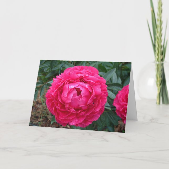Fushia Peony Greeting Card (Front)