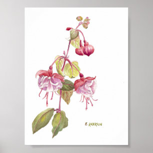 Fushsia watercolor poster