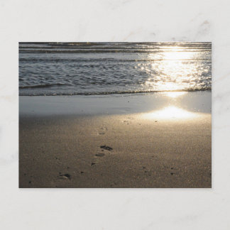 Fußspuren am Sandstrand Postcard
