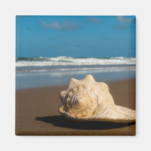 Future Beach Magnet