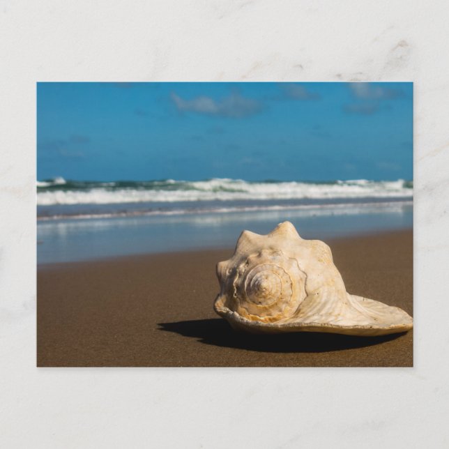 Future Beach Postcard (Front)