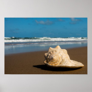 Future Beach Poster