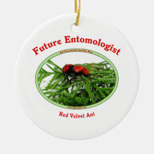 Future Entomologist Loves Bugs Ceramic Tree Decoration