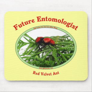 Future Entomologist Loves Bugs Mouse Mat