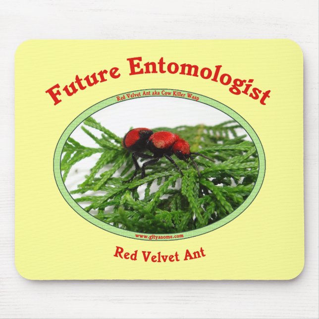 Future Entomologist Loves Bugs Mouse Mat (Front)