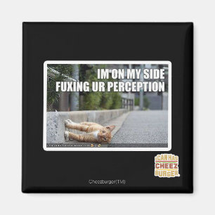 Fuxing Ur Perception Magnet