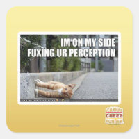 Fuxing Ur Perception