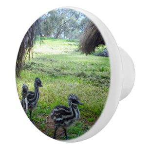 Fuzzy Baby Emu Chicks, Ceramic Knob