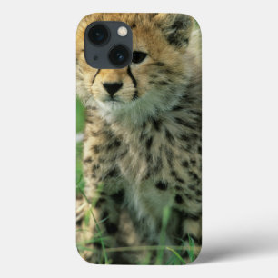 Fuzzy Cheetah Cub iPhone 13 Case