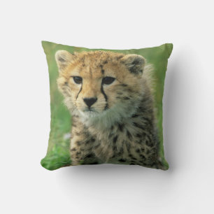 Fuzzy Cheetah Cub Cushion