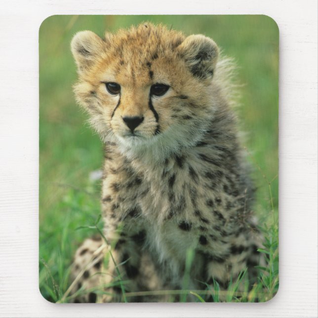 Fuzzy Cheetah Cub Mouse Mat (Front)