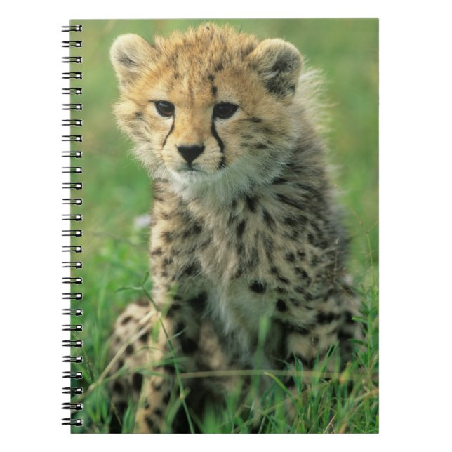Fuzzy Cheetah Cub Notebook (Front)