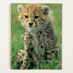 Fuzzy Cheetah Cub Planner