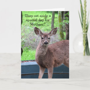 Fuzzy Deer Mother's Day Card